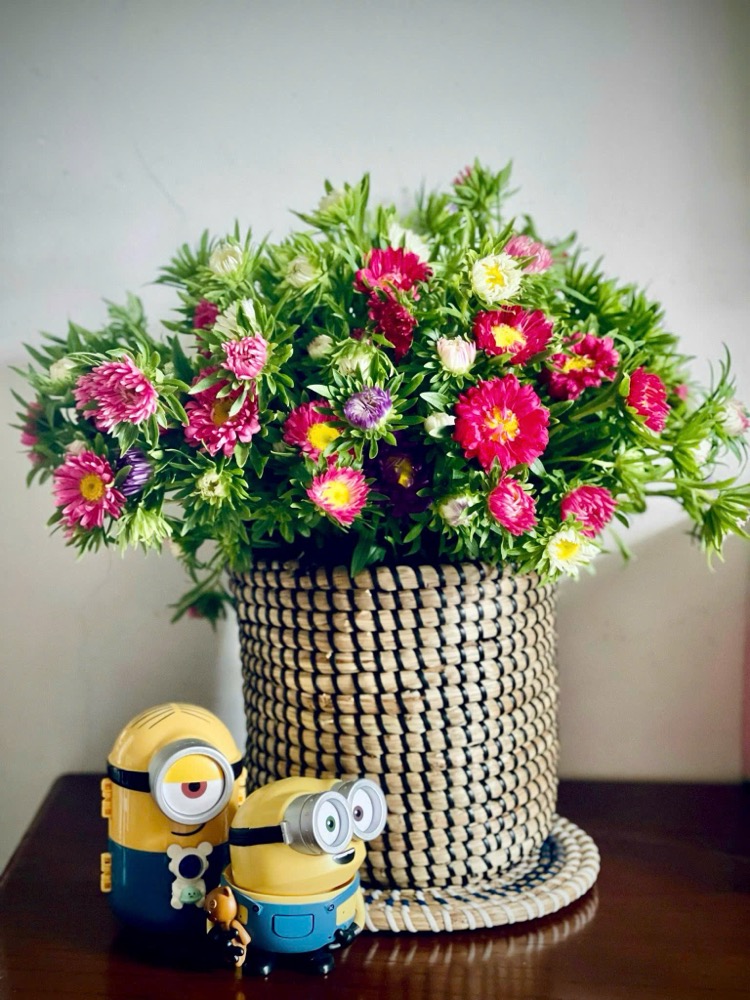 Giỏ cói trồng cây